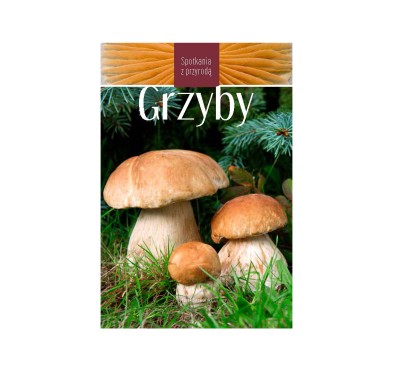 Grzyby - fascynująca podróż po lesnym świecie