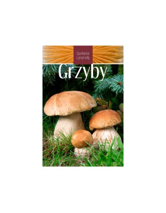 Grzyby - fascynująca podróż po lesnym świecie