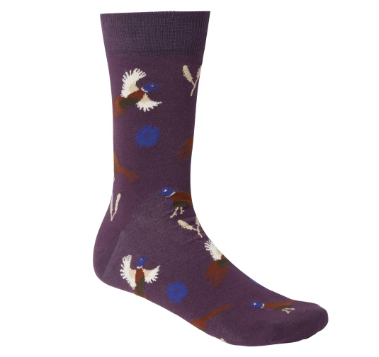 Skarpety Chevalier Pomeroy Hunting Spaniel Eggplant 37-39