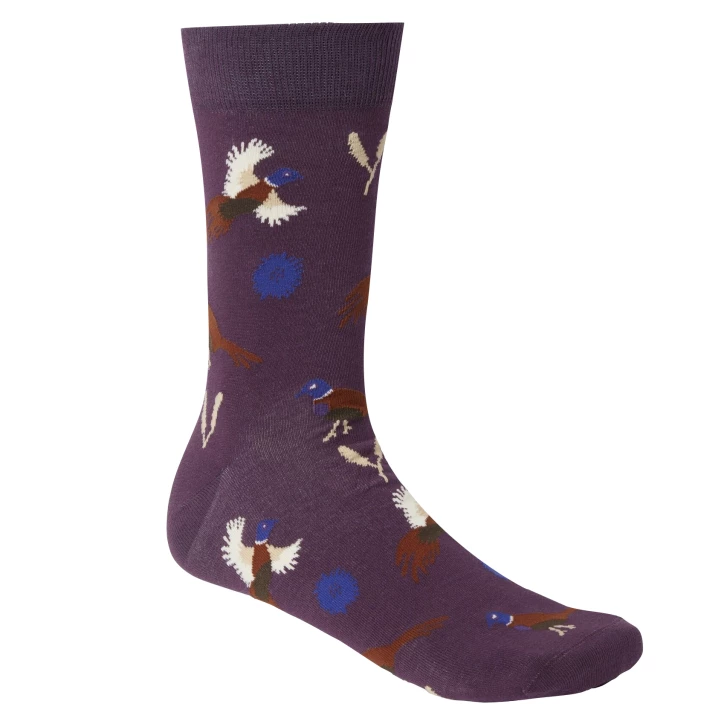 Skarpety Chevalier Pomeroy Hunting Spaniel Eggplant 37-39