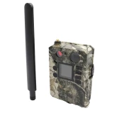 Kamera fotopułapka GSM BG310-M