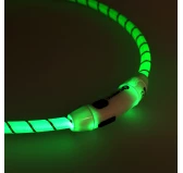 Obroża led dla psa Flamingo Leora zielona Obroża led dla psa Flamingo Leora zielona