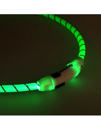 Obroża led dla psa Flamingo Leora zielona