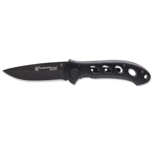 Smith & Wesson - Oasis Titanium Finish - SW423B