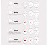 Kolimator otwarty Vector Optics Frenzy-S 1x17x21 MGT/RMS Weaver SCRD-73 czarny