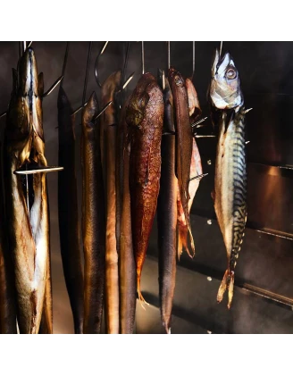 Borniak Smoker 70 BBQ INOX WiFi BBDSW-70 - Wędzarnia Elektryczna