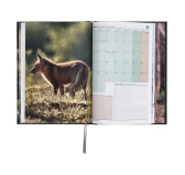 Terminarz Tebra Łowiecki 2026