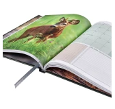 Terminarz Tebra Łowiecki 2026