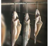 Borniak Haki do Wędzenia Typ 20 HW-20 (3 szt.)