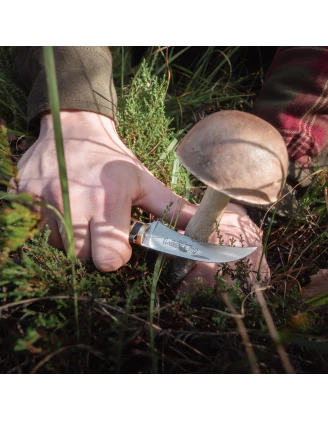 Nóż do grzybów Antonini Old Bear Mushroom orzech