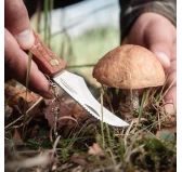 Nóż na grzyby Acropolis NG-3 z pochewką