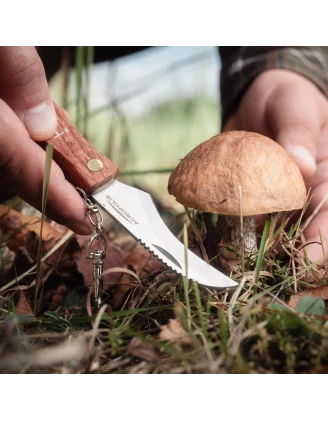 Nóż na grzyby Acropolis NG-3 z pochewką