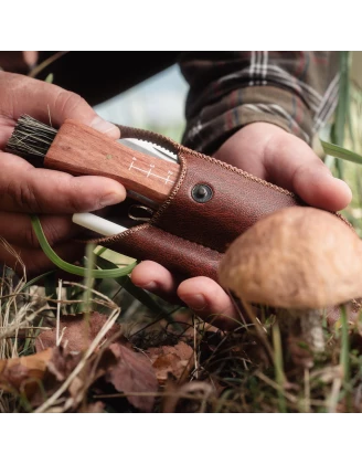 Nóż na grzyby Acropolis NG-3 z pochewką