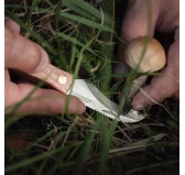 Nóż na grzyby Acropolis NG-3 z pochewką