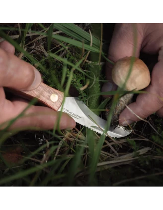 Nóż na grzyby Acropolis NG-3 z pochewką