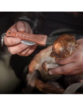 Nóż na grzyby Acropolis NG-3 z pochewką