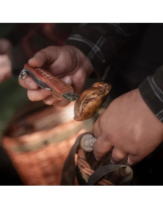 Nóż na grzyby Acropolis NG-3 z pochewką