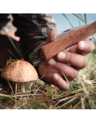 Nóż na grzyby Eka