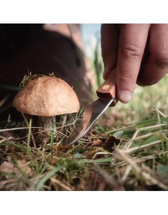 Nóż na grzyby Eka