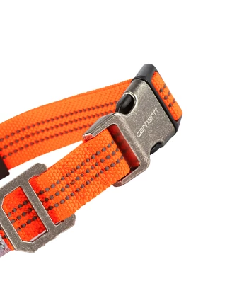Obroża Carhartt Tradesman - hunter orange L
