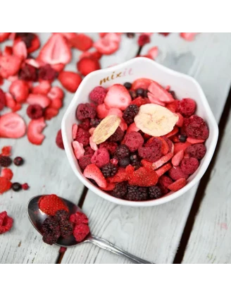 Mixit Chrupiące Owoce Liofilizowane 70g - Przekąska Outdoor | imag24.pl