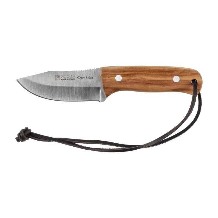 Nóż Joker Gran Erizo CO145 - Stała Klinga, Mova 1.4116, Drewno Oliwne | imag24.pl