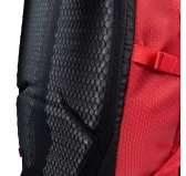 Plecak Alpinus Negoiu 20, czerwony