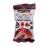 Mixit Chrupiąca Mieszanka Leśna 20g - Liofilizowane Owoce