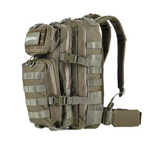 Plecak taktyczny Defpak Ranger 25L MOLLE - Oliwkowy