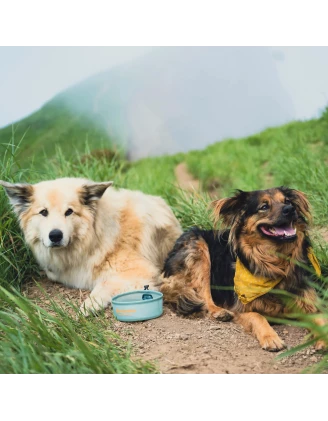 Miska dla psa HydraPak Rover Dog Bowl - sutro green