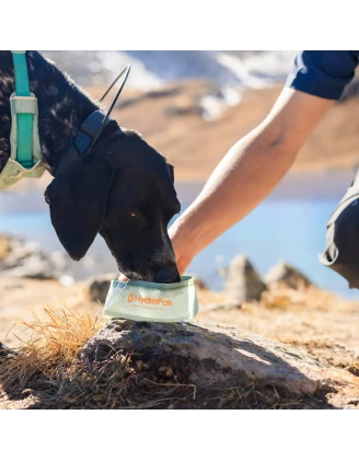 Miska dla psa HydraPak Rover Dog Bowl - sutro green