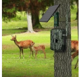 Fotopułapka WildCast S8 GSM z Panelem Solarnym i Kartą Pamięci 32 GB