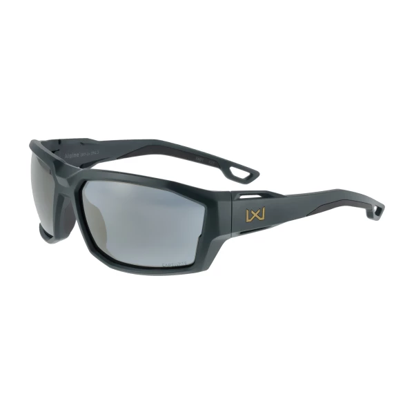 Okulary Wiley X Alpine Captivate ACALP14 graphite grey