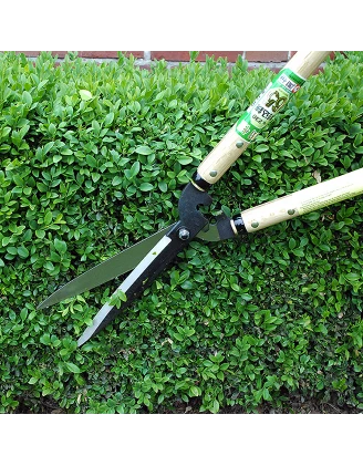 Nożyce Okatsune 230 – Japońskie Nożyce do Żywopłotu i Krzewów