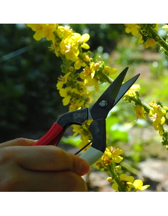 Nożyce Okatsune 307 – Precyzyjne Nożyce Ogrodowe do Bonsai i Roślin | imag24.pl