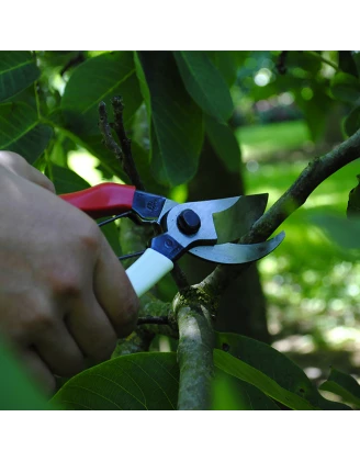 Sekator Okatsune 101 – 180mm, stal Izumo Yasugi | imag24.pl