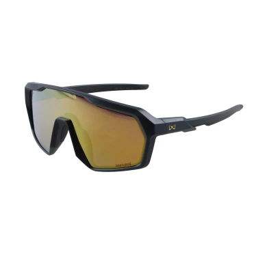 Okulary Wiley X Citadel CHCTD10 gold / graphite grey