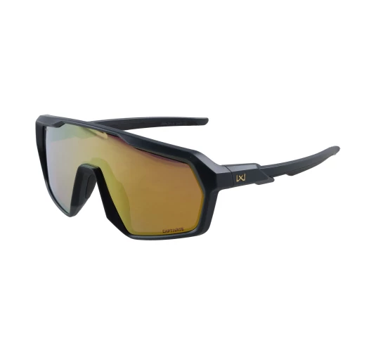 Okulary Wiley X Citadel CHCTD10 gold / graphite grey