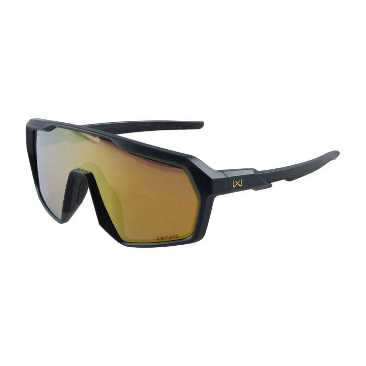 Okulary Wiley X Citadel CHCTD10 gold / graphite grey