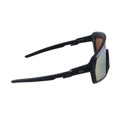 Okulary Wiley X Citadel CHCTD10 gold / graphite grey