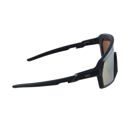 Okulary Wiley X Citadel CHCTD10 gold / graphite grey