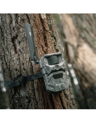 Dwupak Fotopułapek HIKMICRO T16 4G LTE Dual-FOV | imag24.pl