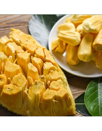 Mixit Chrupiący Jackfruit | Liofilizowane Owoce | imag24.pl